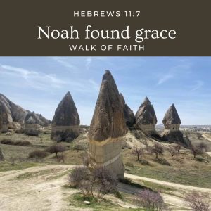 Noah found grace